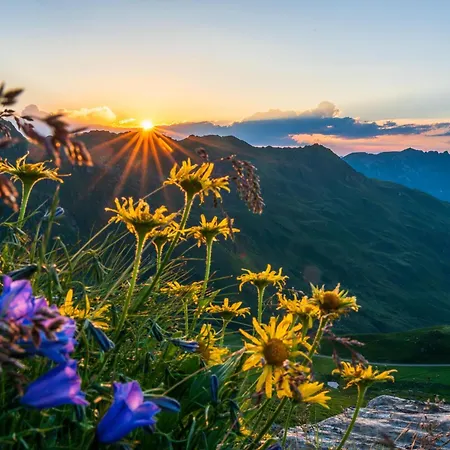 In Zillertal Near Slopes Holiday home *