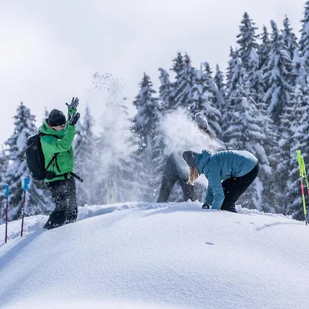 度假居 In Zillertal Near Slopes